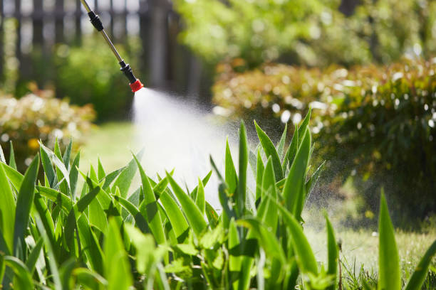 Tamper-Resistant Bait Stations for Rodents in Homer City