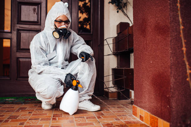 Attic and Crawl Space Rodent Treatment in Homer City